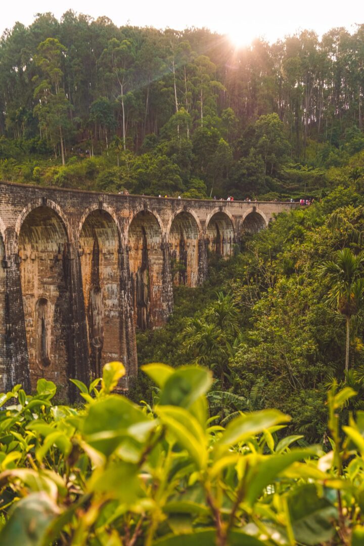 Ceylon Roots Sri Lanka Travel Agency Nine Arch Bridge Image
